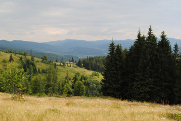 Fototapeta na wymiar Mountains Landscape in Zakarpattya Ukraine