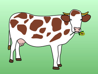 Cow grazing flower