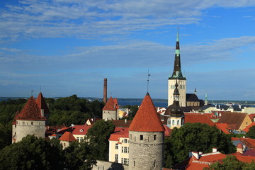 Obraz premium Estonia - Tallinn