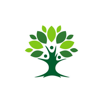 green tree plant ecology botany logo