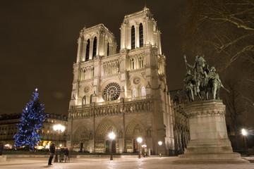 Catedral de Notre Dame. Vista Nocturna