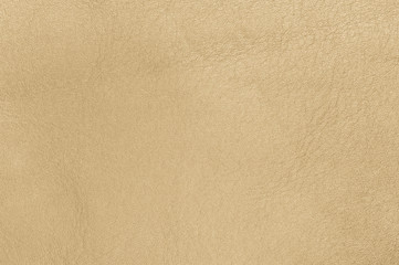 leather texture background
