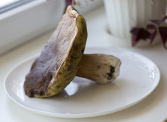 Большой гриб лежит на тарелке.