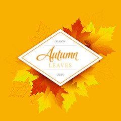 Autumn typographic. Fall leaf. Vector illustration