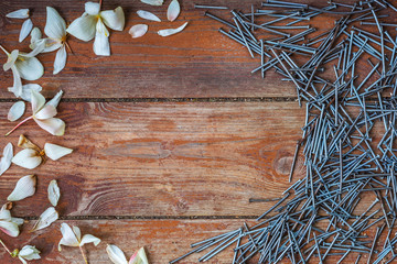 Petals of white flowers and new nails in the form of a circle on a background of old boards. Impersonation of male and female qualities