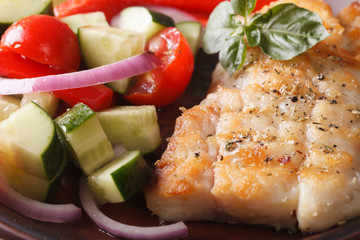 grilled fish and fresh vegetable salad macro. horizontal
