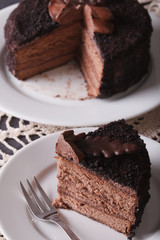 Chopped chocolate cake close-up on a plate. vertical
