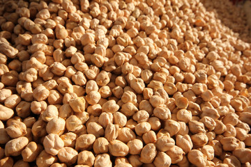 Chick-Pea