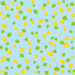 イチョウの背景(水色下地)