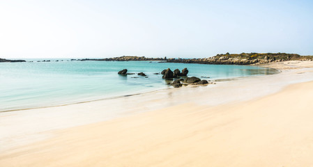 plage avec rochers