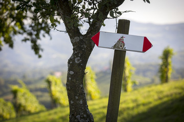 Wegmarkierung im Weingarten an der südsteirischen Weinstraße, Weinstrasse, Steiermark