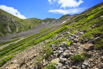 夏の南アルプス　仙丈ヶ岳　山梨県南アルプス市