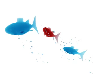 Foto op Plexiglas Vissen springen naar vrijheid © emieldelange