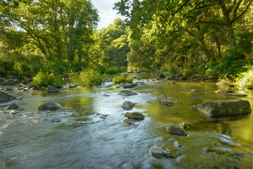 River landscape
