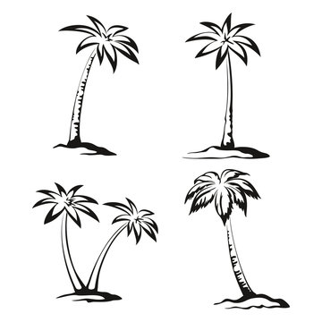 Palm Trees Black Pictograms