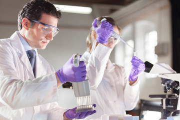 Life scientist researching in the laboratory.