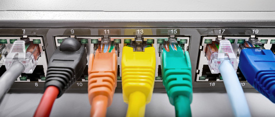 Network Switch with cables