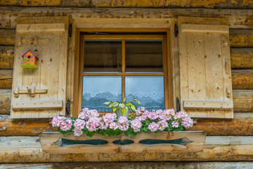 Fototapeta na wymiar Blooming Window