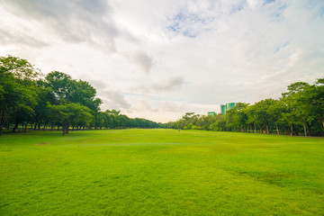Green lawn on park field in Bangkok