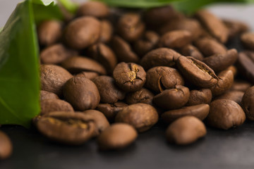 coffee grains and leaves