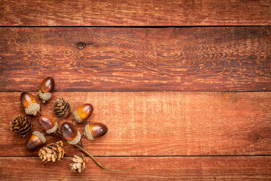 red barn wood with fall decoration