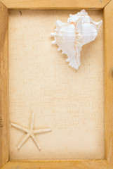 Vintage image of conch shell and starfish on the canvas frame