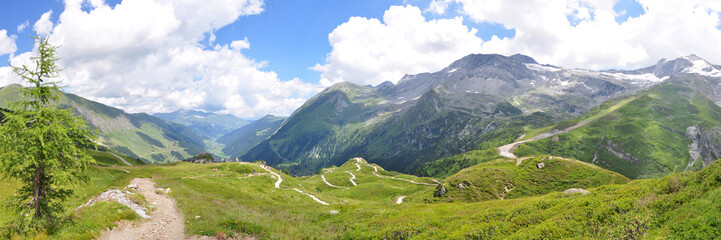 Fototapeta na wymiar Panoramafoto Zillertaler Alpen / Österreich