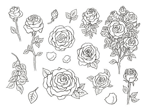 Set of ink hand drawn stylized flowers