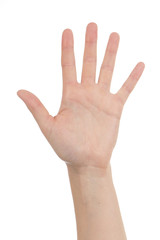 paume main gauche femme