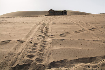 Sand dune in the desert with plublic toilet