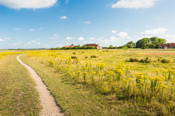 Narrow winding path through a colorful nature reserve