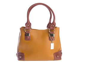 bag. women bag on a background