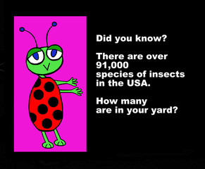 Education image showing bug and the words, 'Did you know?... 91,000 species of insects in the USA.  How many are in your yard?'.