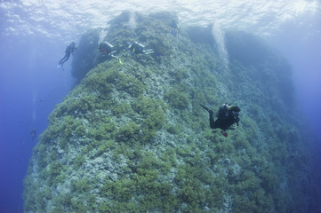 Scuba divers on an underwater coral reef