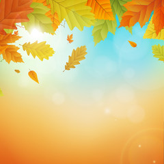 autumn vector background with leafs