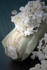 tasty ptasty popcorn and fresh cornopcorn