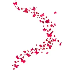 Stickers fenêtre Papillon red rose petals and butterflies curve, isolated on absolute white