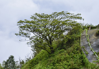 mountain landscape with scale