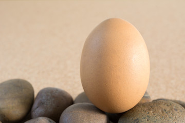 brown chicken egg