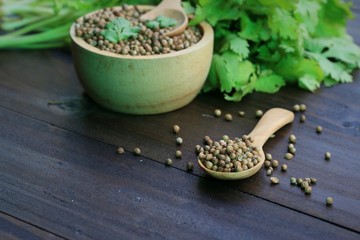 Fresh coriander and dried seeds