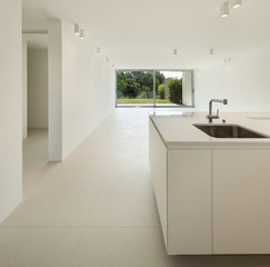 domestic kitchen of a modern house