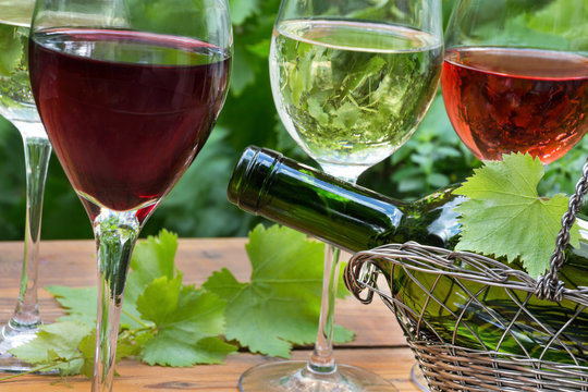 Wein