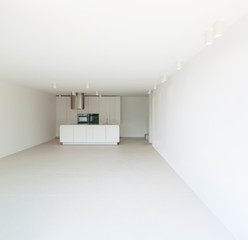 domestic kitchen of a modern house