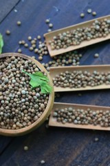 Fresh coriander and dried seeds