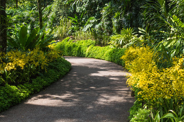 garden path with orchids