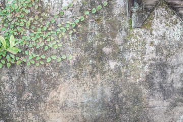white concrete wall texture