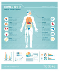 Human body infographics
