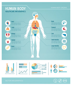 Human body infographics