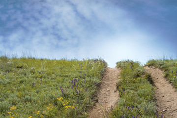 Country road up to the hill
