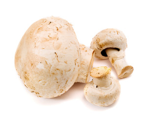 Mushrooms